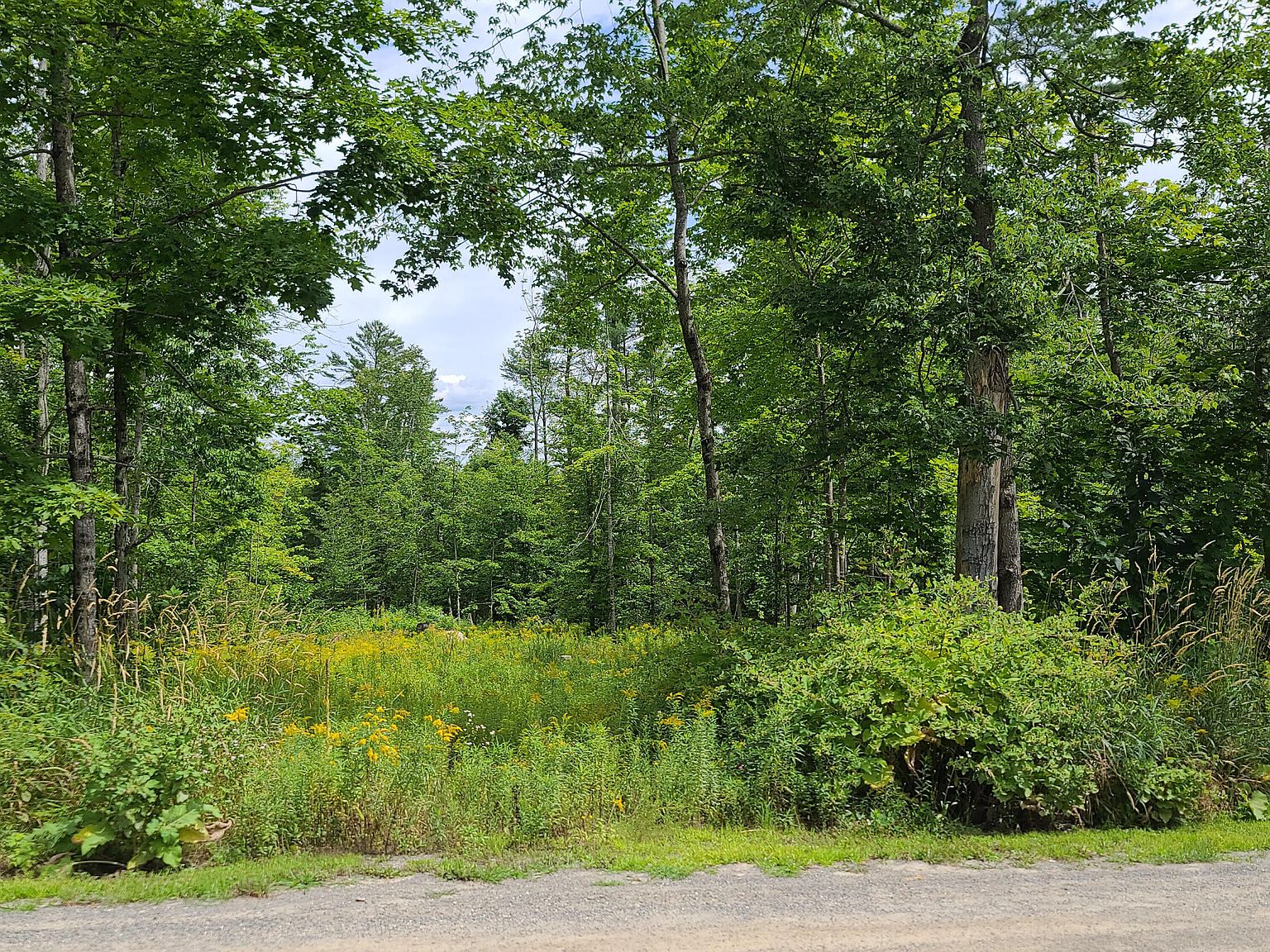 16 Fire Rd 10, Saint Albans, ME 04971 MLS 1540667 Zillow