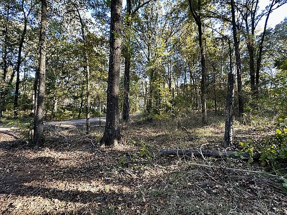 3rd image of N/a County Rd Lot 59-2938