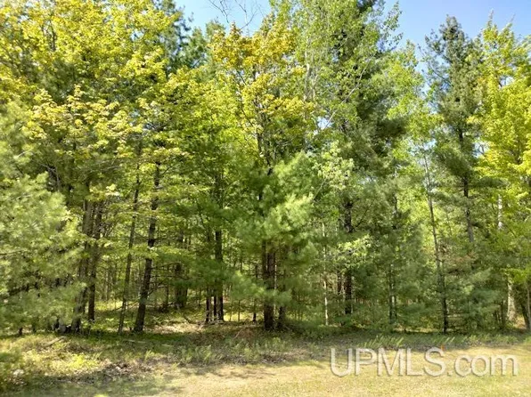 10431 Breezy R22 Ln, Rapid River, MI 49878