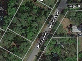 56017 Blue Creek Rd, Astor, FL 32102
