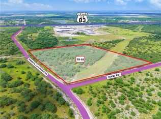 Township Road 3 Pimenta Rd, Rio Grande City, TX 78582