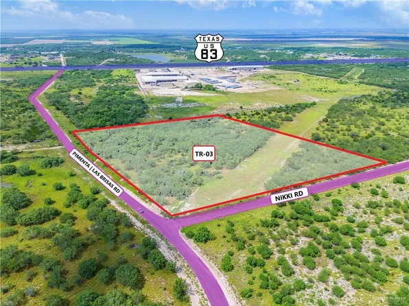 Township Road 3 Pimenta Rd, Rio Grande City, TX 78582
