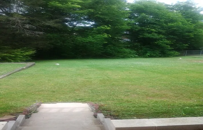 Airwood Backyard