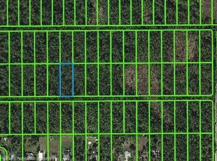 1102 Iris Ave, Sebring, FL 33875