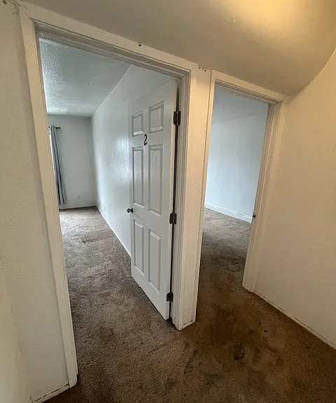 6555 Segovia Rd — Photo 12