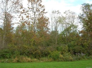 4661 S Ayers Rd, Akron, NY 14001