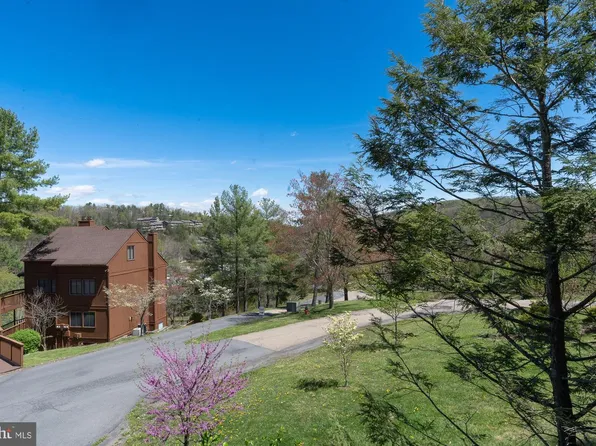 141 The Hill Rd #25A, Basye, VA 22810