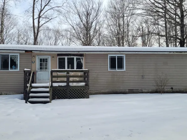 972 W Bush St, White Cloud, MI 49349