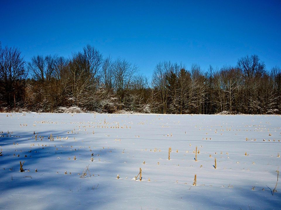 2nd image of 0 Township Road 187