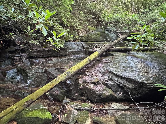 3rd image of 0 Chestnut Oak Ln