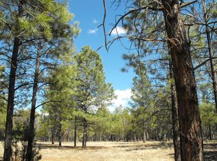 1519 Pine Canyon Dr, Happy Jack, AZ 86024