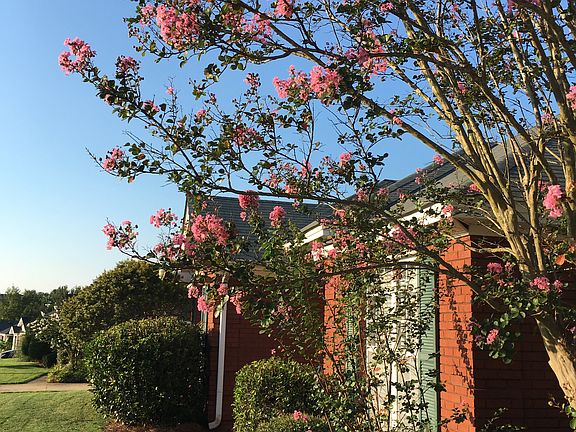 View from driveway 