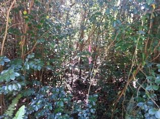 Diamond Head Dr LOT 795, Pahoa, HI 96778