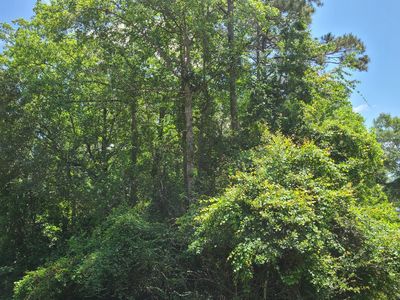 1403 E Lakeshore Dr Lot 1033, Carriere, MS, 39426
