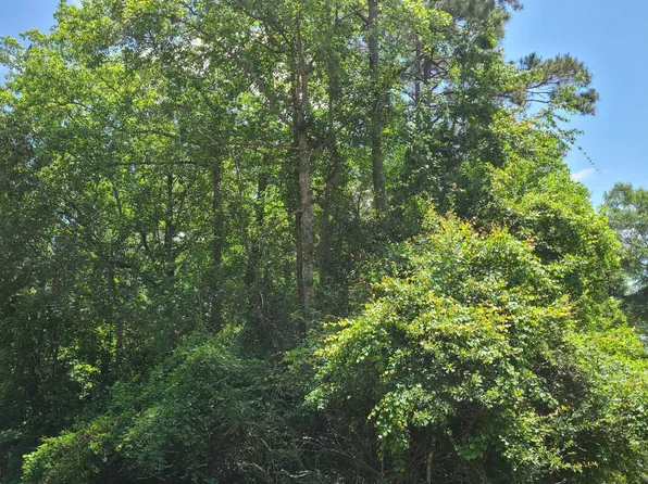 1403 E Lakeshore Dr Lot 1033, Carriere, MS 39426