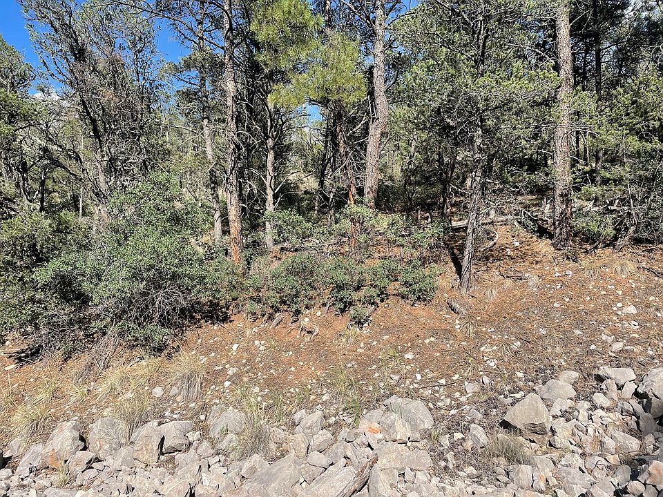 1st image of 244 Shallow Creek Rd
