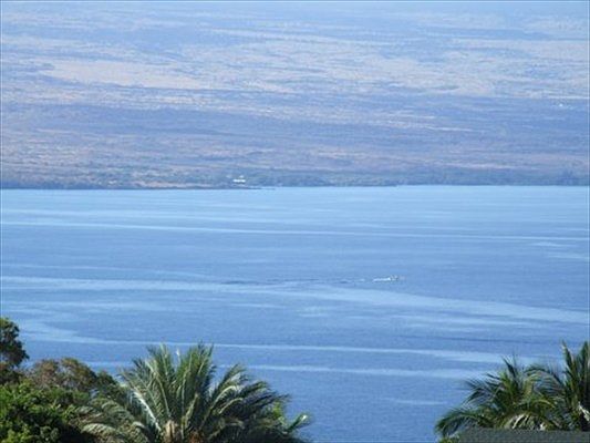 3rd image of Kohala By The Sea Lot 779