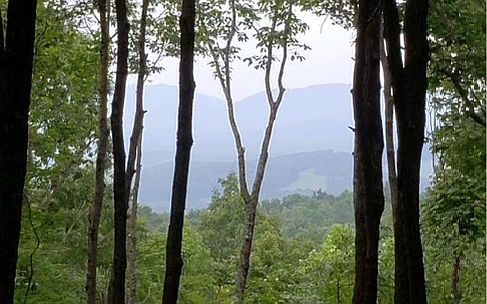 1st image of Mollie Mountain Trl