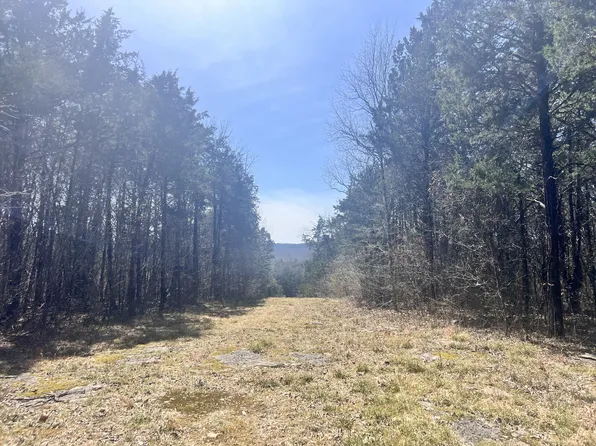 1 Browns Mill Rd Lot 1, Lascassas, TN 37085