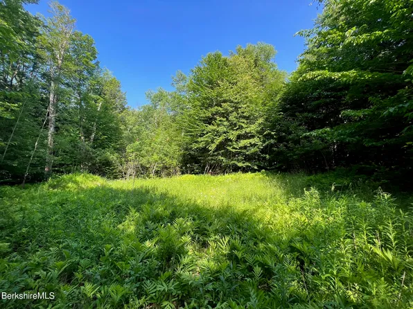 20 Strong Rd, Peru, MA 01235