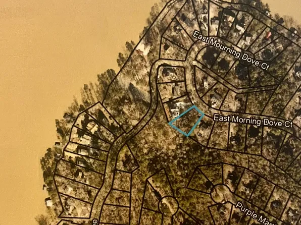 0 E Mourning Dove Ct Lot 50, Monticello, GA 31064
