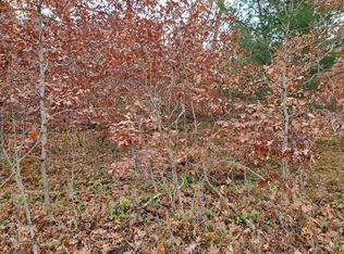 0 Dubois Ave, Idlewild, MI 49642