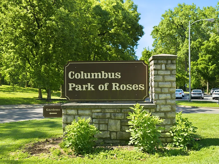 Enjoy the roses - and the rest of the park too!
