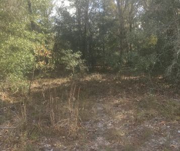 0 NE 6th St, High Springs, FL, 32643