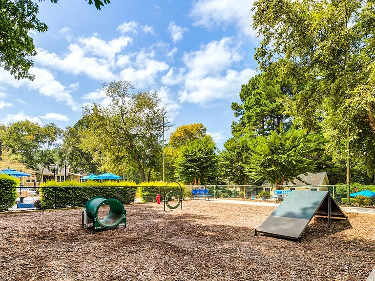 Laurel Oaks — Photo 22