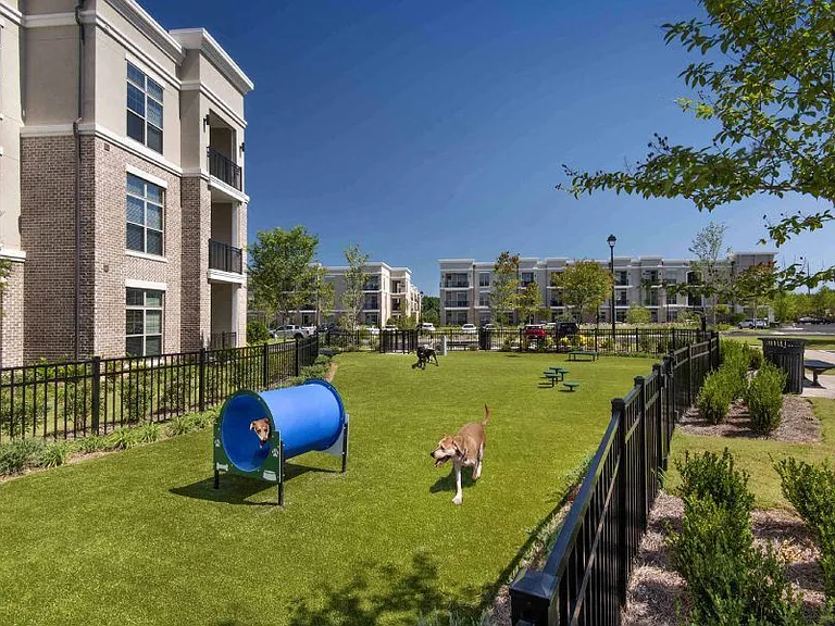 Ten45 Suwanee — Photo 17