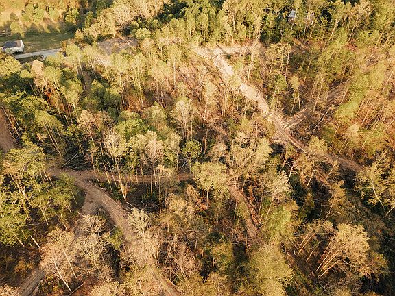 3rd image of 2697 Pine Ridge Rd