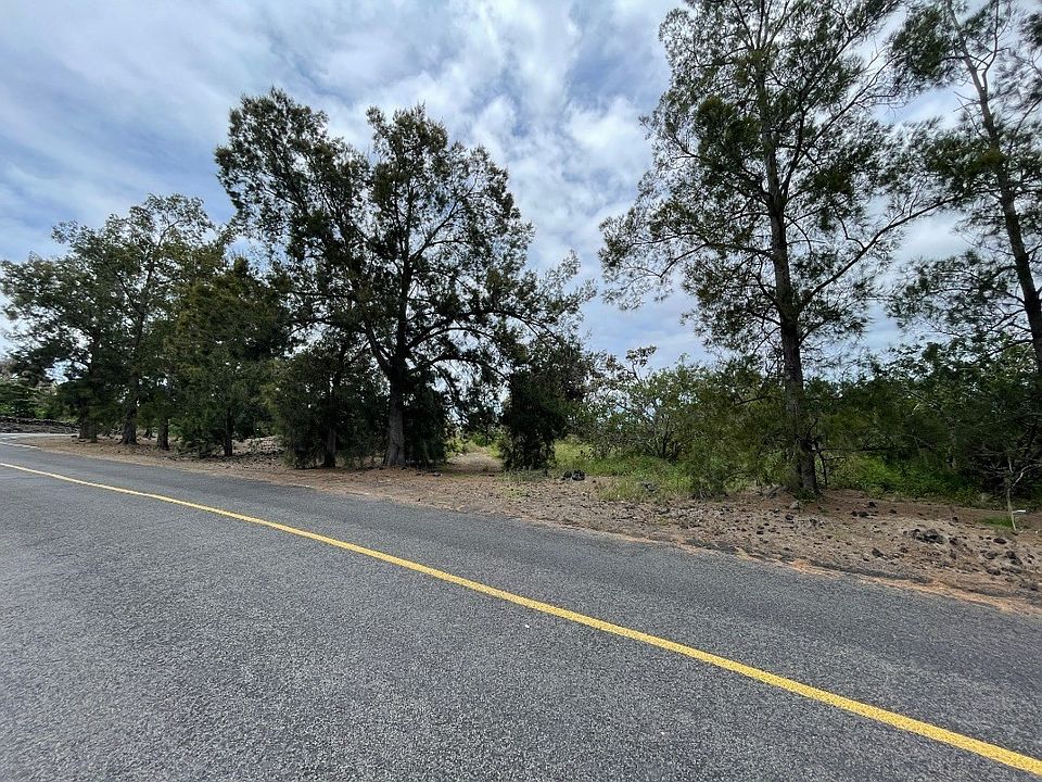 2nd image of Lot 19