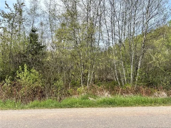 LOT Blakney Rd, Salisbury, NB E4Z 2V2