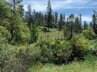 6081 Callee Ln, Garden Valley, CA 95633