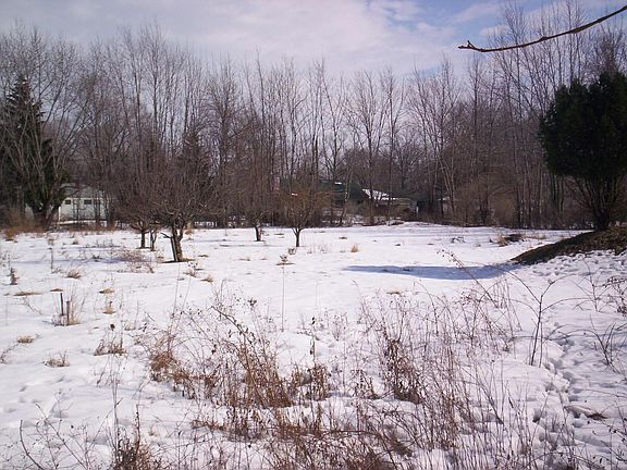 This is a picture of the back yard.. over an acre