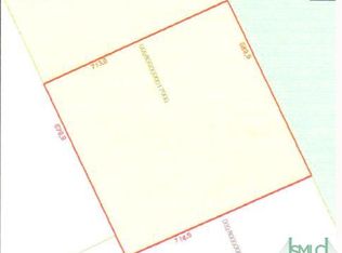 0 Benjamin Gnann Rd, Springfield, GA 31329