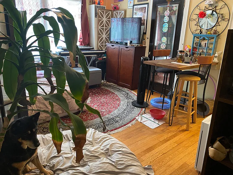 137 E Chestnut St #7 — Photo 1