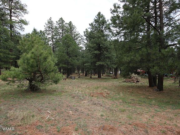 3rd image of 1371 Mineral Dr