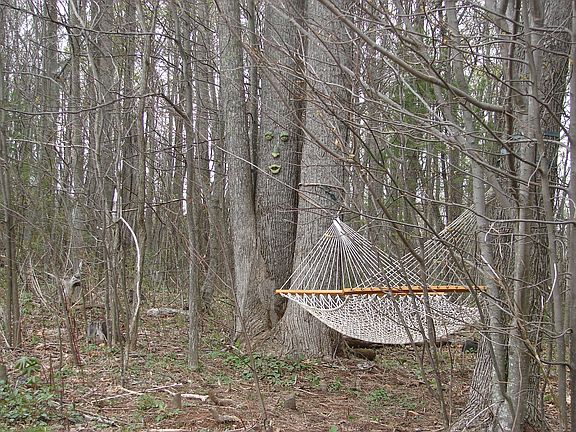 2nd image of 444 Apricot Ln