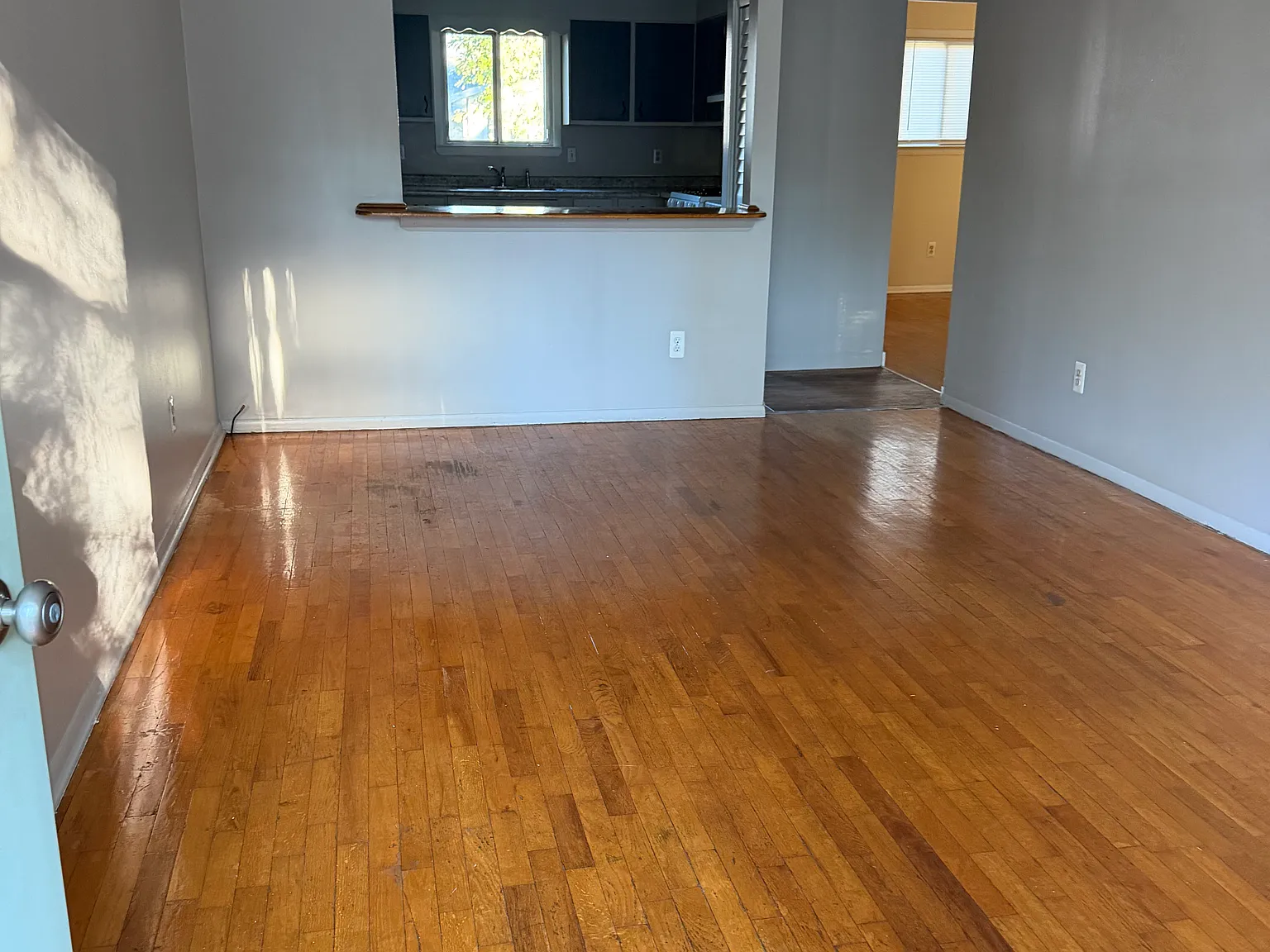 2 bed, 800 sqft, $1,100 — Photo 3