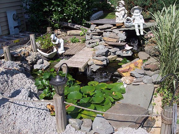 relaxing pond w/ coy