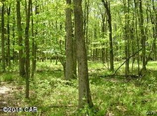 26 Oak Ridge & Teaberry Trl, Jim Thorpe, PA 18229