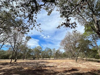 NE 115th Ave Lot 399, Bronson, FL, 32621