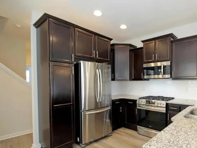 1351 Brown Velvet Ln — Photo 12