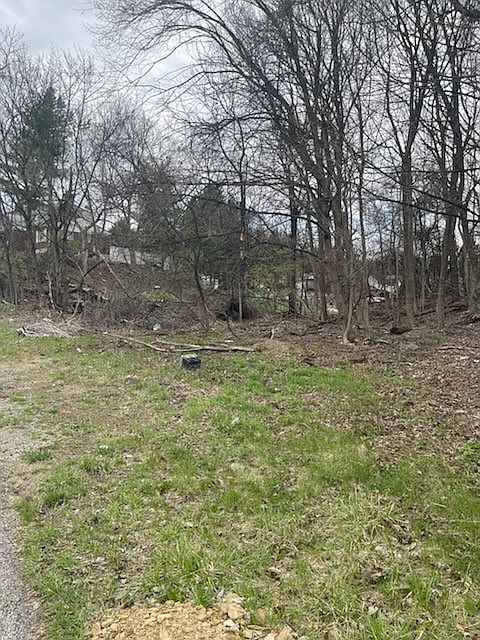 2nd image of 0 Spring St