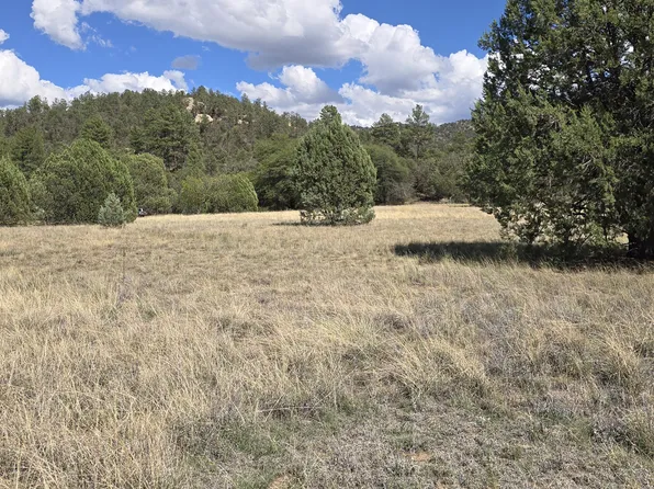 281 E Cline Xing, Young, AZ 85554
