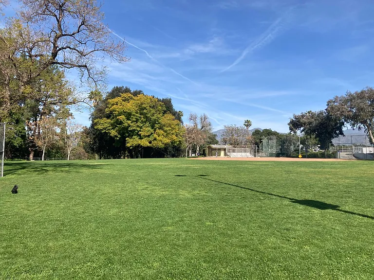 Village of Roses LLC — Photo 25