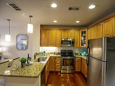 1 bed, 723 sqft, $2,700 — Photo 2