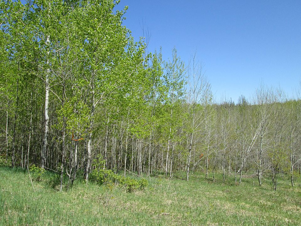 1st image of Pohutsky Trl