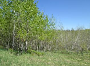 Pohutsky Trl, Johannesburg, MI 49751